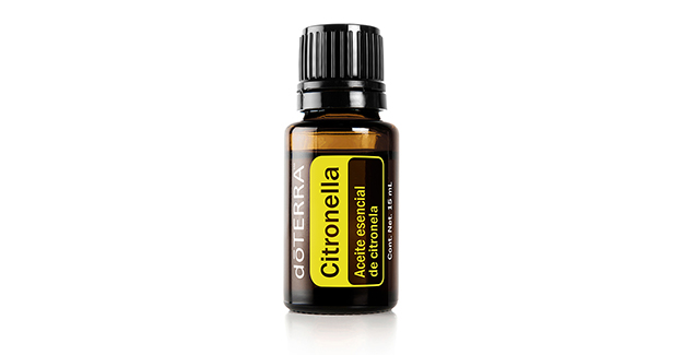 Citronella 15ml