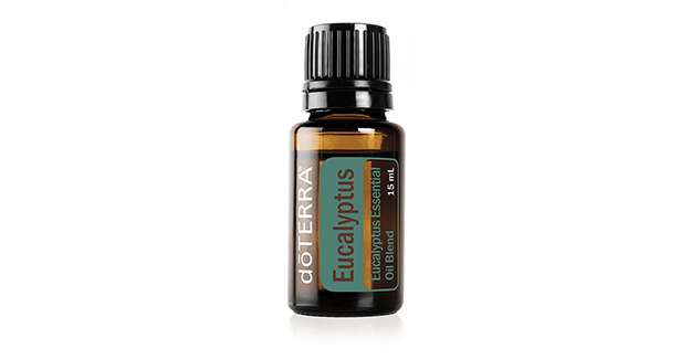 Eucalyptus 15ml
